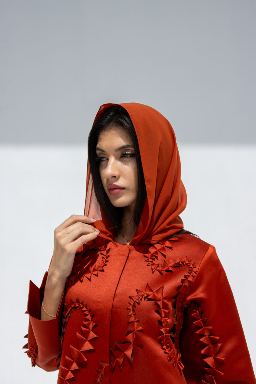 MODEL 1001 - Image 4