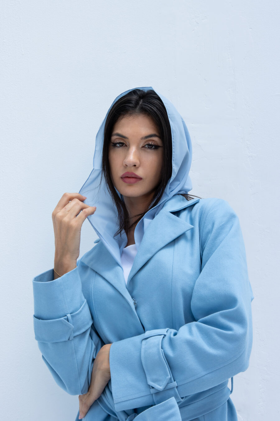 MODEL 1002 - Image 4